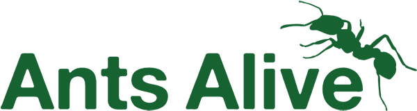 AntsAlive Logo