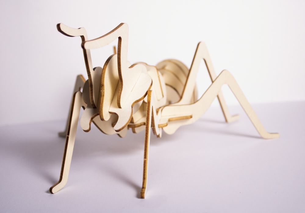 3D Worker Ant Puzzle 1