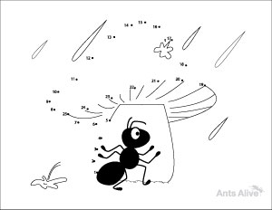 Free ant dot to dot kids activity page
