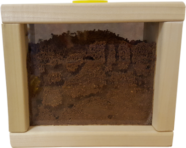 Antworks Gel Ant Habitat Box Back