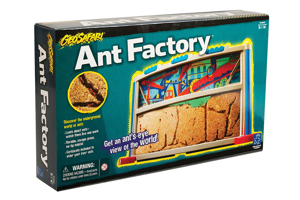 Ant Factory 1