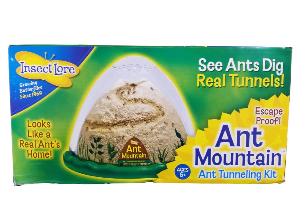 Ant Mountain 1