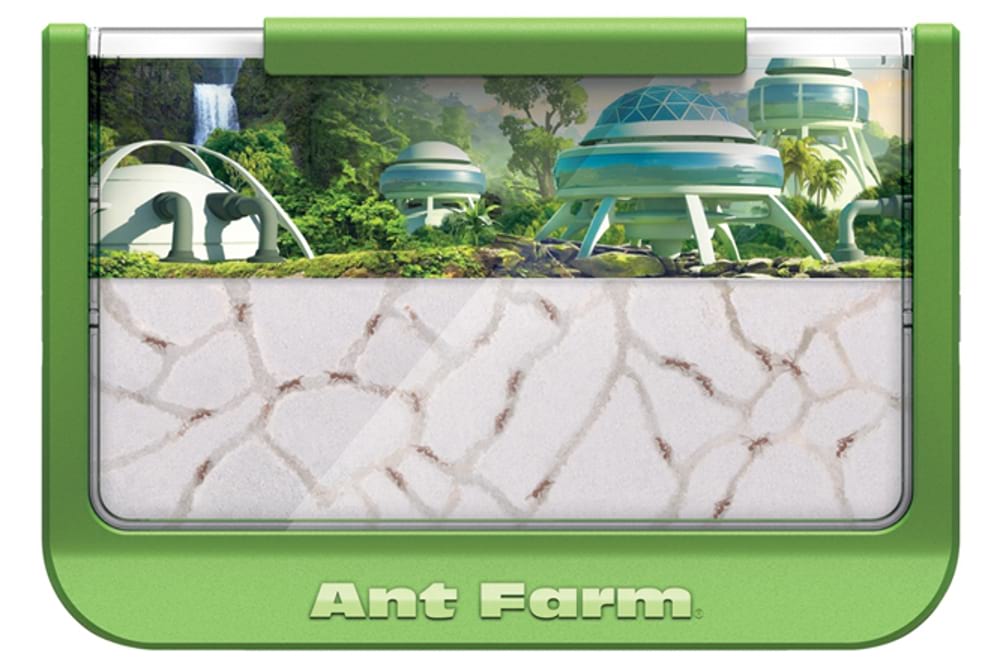 Antopia Rainforest Ant Farm 0