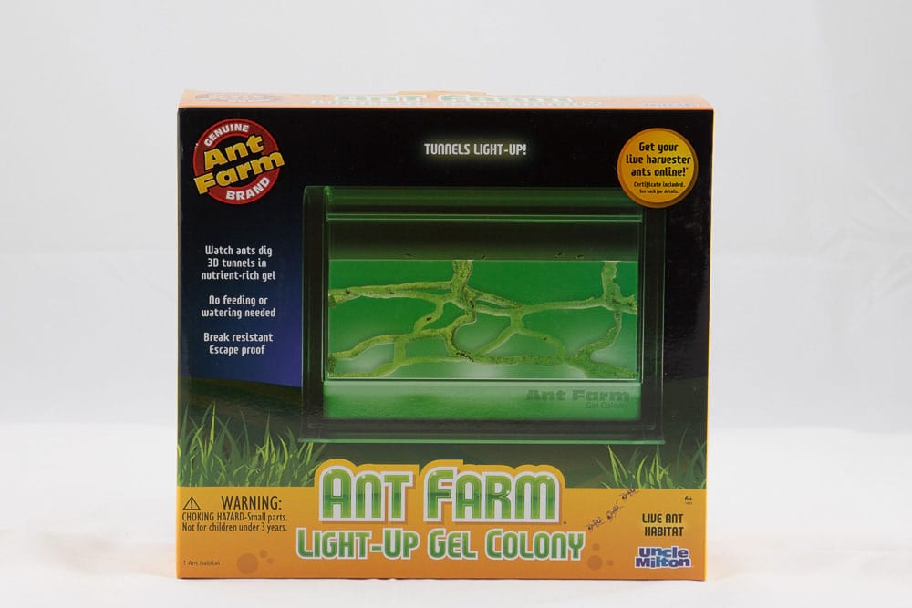 Light-Up Gel Ant Farm 3