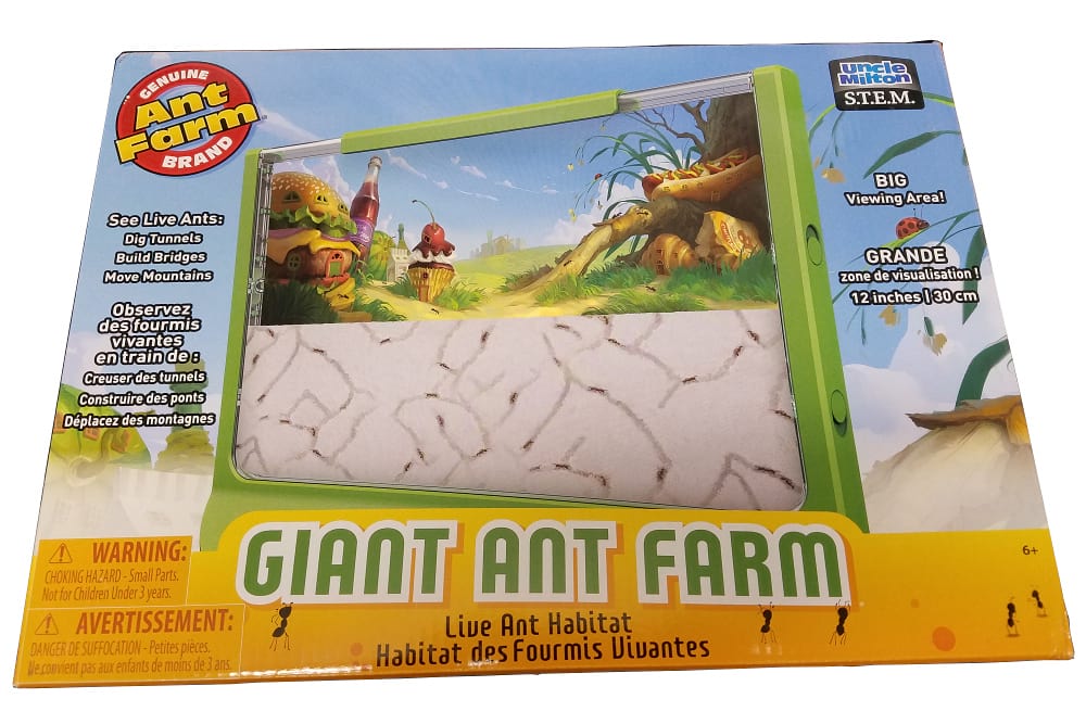 Giant Ant Farm 0