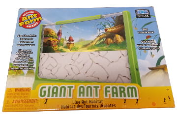 Giant Ant Farm